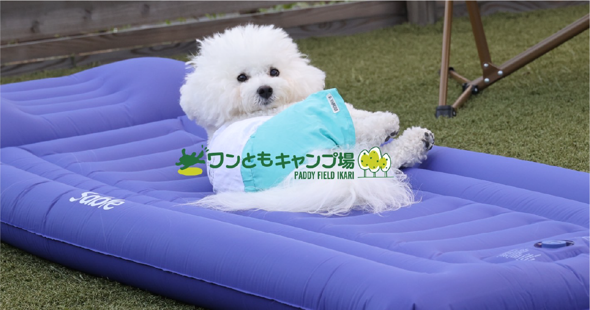 愛犬に自由を！｜淡路島 ワンともキャンプ場